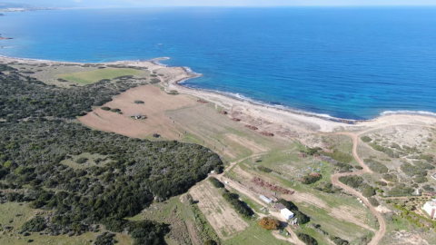 Нашият бъдещ луксозен антиейдж уелнес проект на брега на морето в Кипър